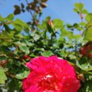 화부산로 이미지