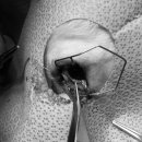 메리 동물병원 이미지