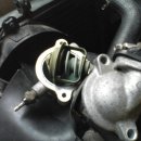 애마정비 이미지