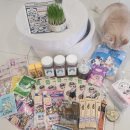 캣 | 송도 마이캣페어 후기 사은품 한가득 캣 스크래쳐 가성비 2026 캣페어