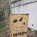 이리온애견펜션 이미지