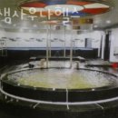 장수샘사우나헬스 이미지