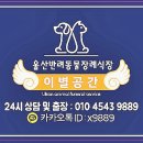 화장공간 이미지