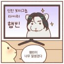 라이즈 선풍기 아이스크림 핸디팬 너무 귀엽잖아.♡‍