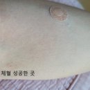 (주)기우메디칼 | 수원 다인병원 건강검진 후기(부제 : 초음파 검사는 의사로부터)