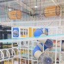 이하오산로(와룡면) 이미지