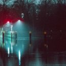 레메디칼 이미지