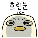 이세상에서가장맛있는떡볶이 이미지