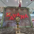 JJ마트 | 나트랑 시내 하바나호텔, JJ씨푸드 후기