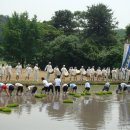 양주초록지기정보화마을 이미지