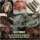 ＜해녀가 잡은! 성게(우니) 판매중＞자연산 성게알 /손질장어 /돌문어 /전복 /뿔소라 /해삼 /홍합 /바지락 /반건조오징어 택 이미지