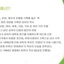 대(代)와 세(世) 이미지