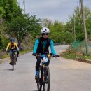 수룡봉황길 이미지