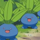 곰배령 꽃길 이미지