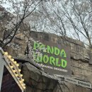 판다 | 에버랜드 평일 금요일 후기 판다월드 대기 10분 튤립축제 불꽃쇼 꿀팁