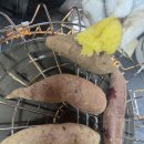 태안식육점 이미지