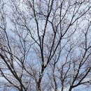 시민식당 2호점 | 공주 공산성 완벽 가이드 | 백제한복 체험 + 곰골식당 후기(공산성 입장료 할인 꿀팁)