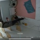 달봉냥의 꿈 이미지