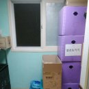 도화 다우림 이미지