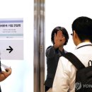 대미 이미지