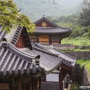 다성자원 이미지