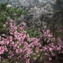 가곡쉼터 이미지