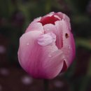 연지공원1 이미지