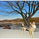 냉정 낚시터 이미지