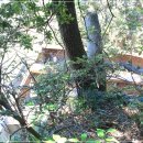 소남머리 이미지