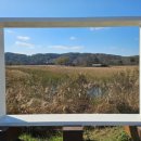 비봉인공습지 축구장 이미지