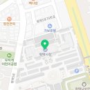 강성호 반려견 스쿨 이미지