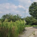 거목농장 이미지