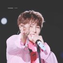 2019 드림콘서트 이미지