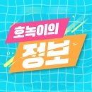 강남구 견인차량보관소 이미지