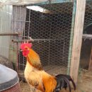 현인농장 이미지