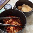 김치매니아 티스토리