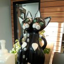 고래동물병원 이미지