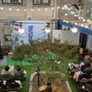 2025 해설이 있는 풍류음악회 이미지