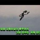 해남교차로 Daum카페