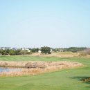 가보 그린필드골프크럽 | 제주도 5인 플레이 가능한 골프장 부킹 요즘 잔디 좋은 제주 사이프러스cc 예약 후기