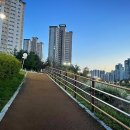 위드·美(미)