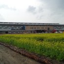 배드민턴체육관 이미지