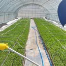 다복농장 이미지