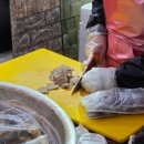 새당감시장 이미지