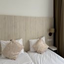 1012민박 | 서유럽 네덜란드 여행 암스테르담 맛집 숙소 날씨 시간