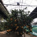 한울타리 농촌체험마을 이미지