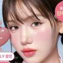 채도러브영