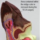 24시SNC동물메디컬센터 이미지