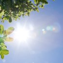 햇빛 이미지