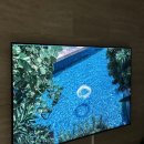 다솜광고 | 한달동안 직접 써본 NEO QLED, 실사용 후기